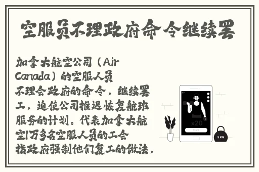 丰年经继拇中文4优惠活动